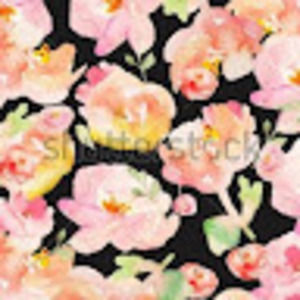 Meet your Posher, Sunasia